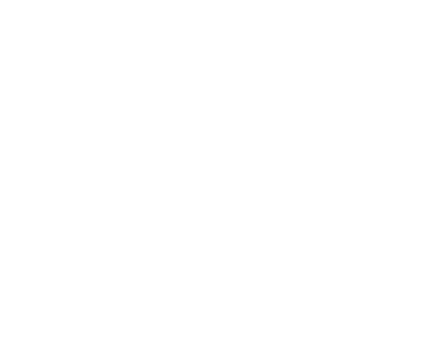 junk removal white